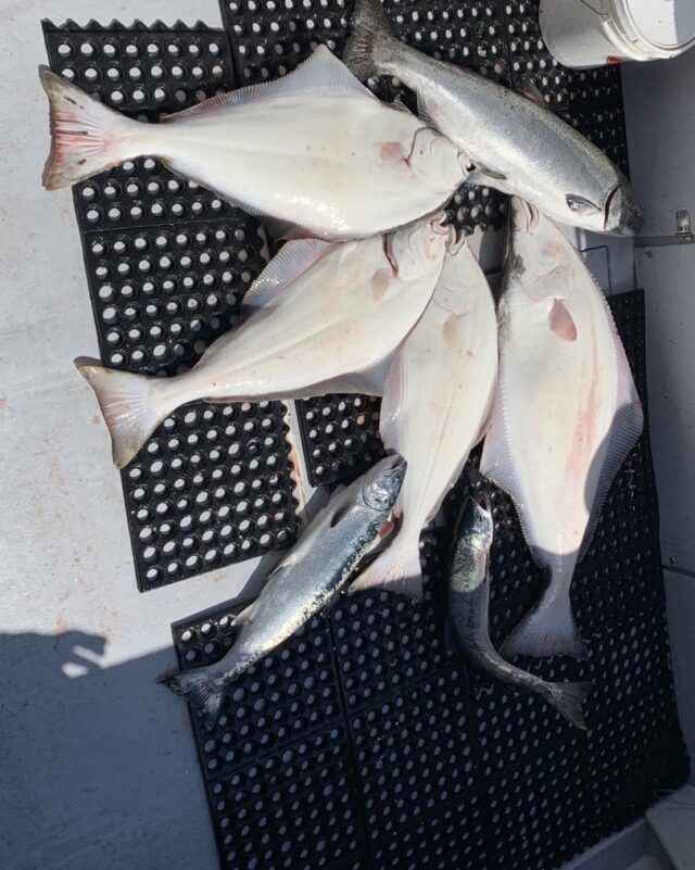 Another good day on the anchor! thanks Kevin and Tony!!