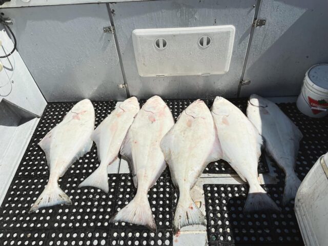 Big Bank kind of day!🐟🎣🛥